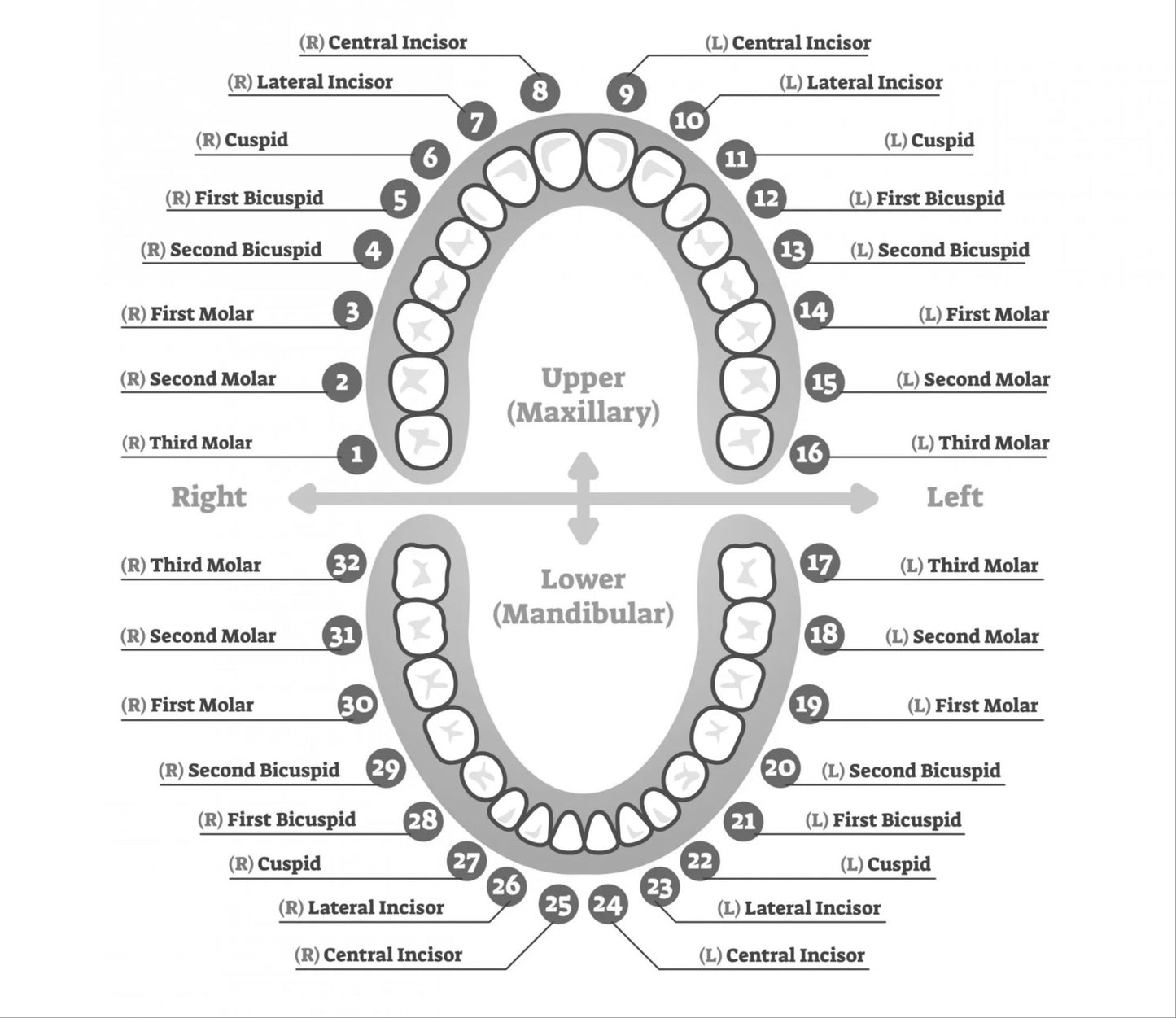 SOLID GOLD TWO TONE DIAMOND DUST GRILLZ